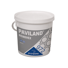 Paviland Renovex 1 kg Acero 315